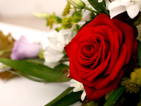 Kiste med blomster